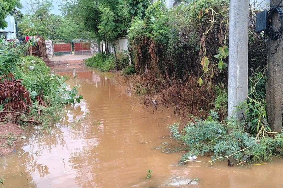 ఎత్తుపల్లాల సిమెంట్ రోడ్లు..నిలిచిన వర్షపు నీరు
