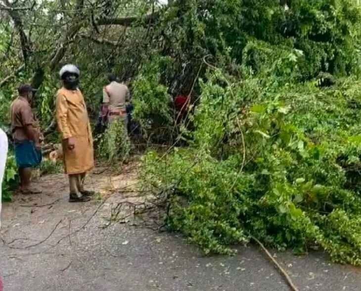 జంగారెడ్డి గూడెం రాహదారిలో విరిగిన చెట్లు
