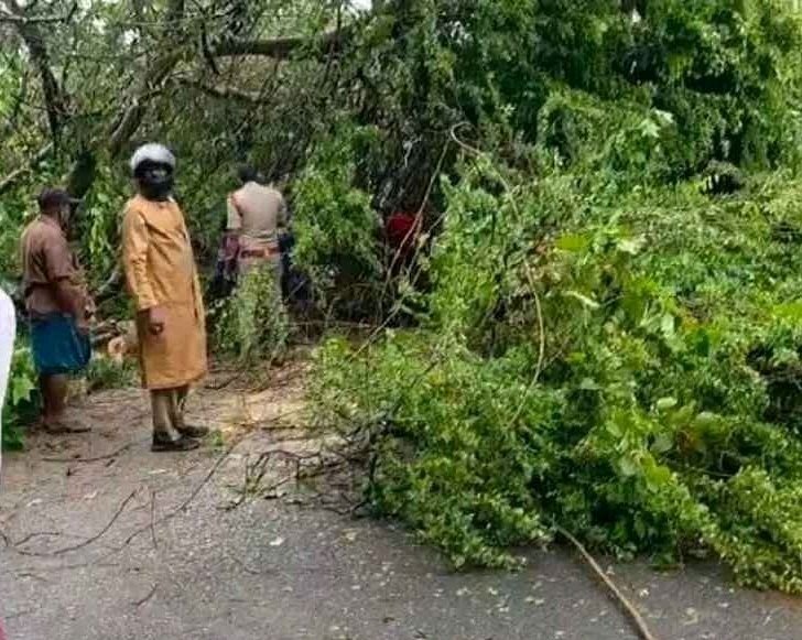 జంగారెడ్డి గూడెం రాహదారిలో విరిగిన చెట్లు