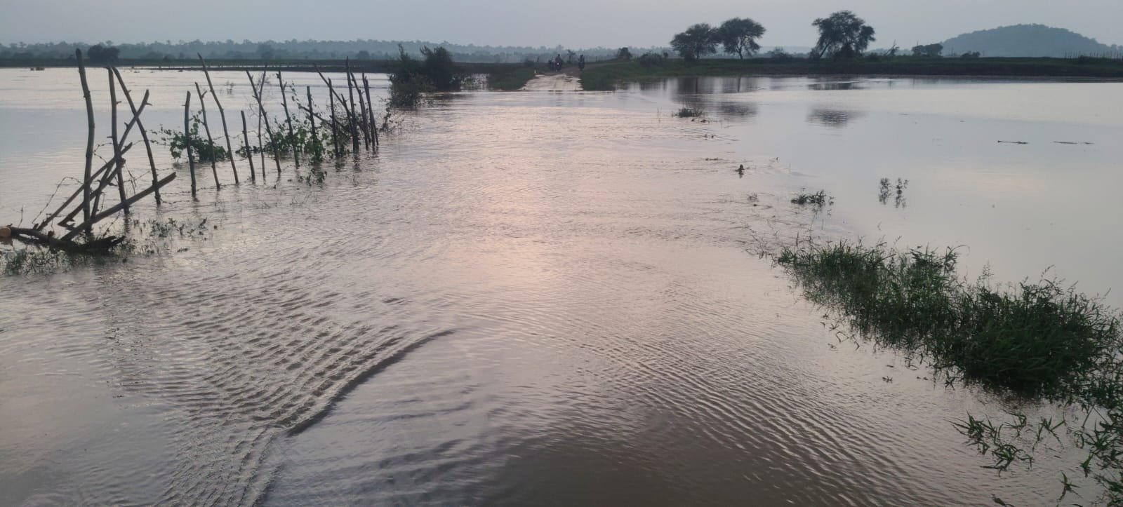 " నిలకడగా గోదావరి..!!