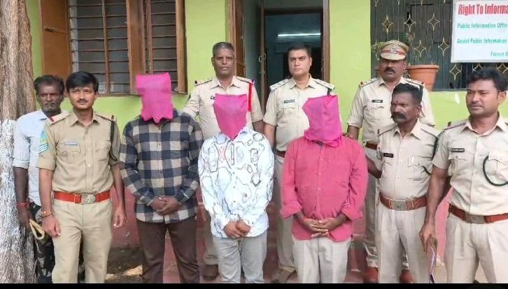 బద్వేల్ లంకమల అభయారణ్యంలో గుప్త నిధుల వేట కలకలం