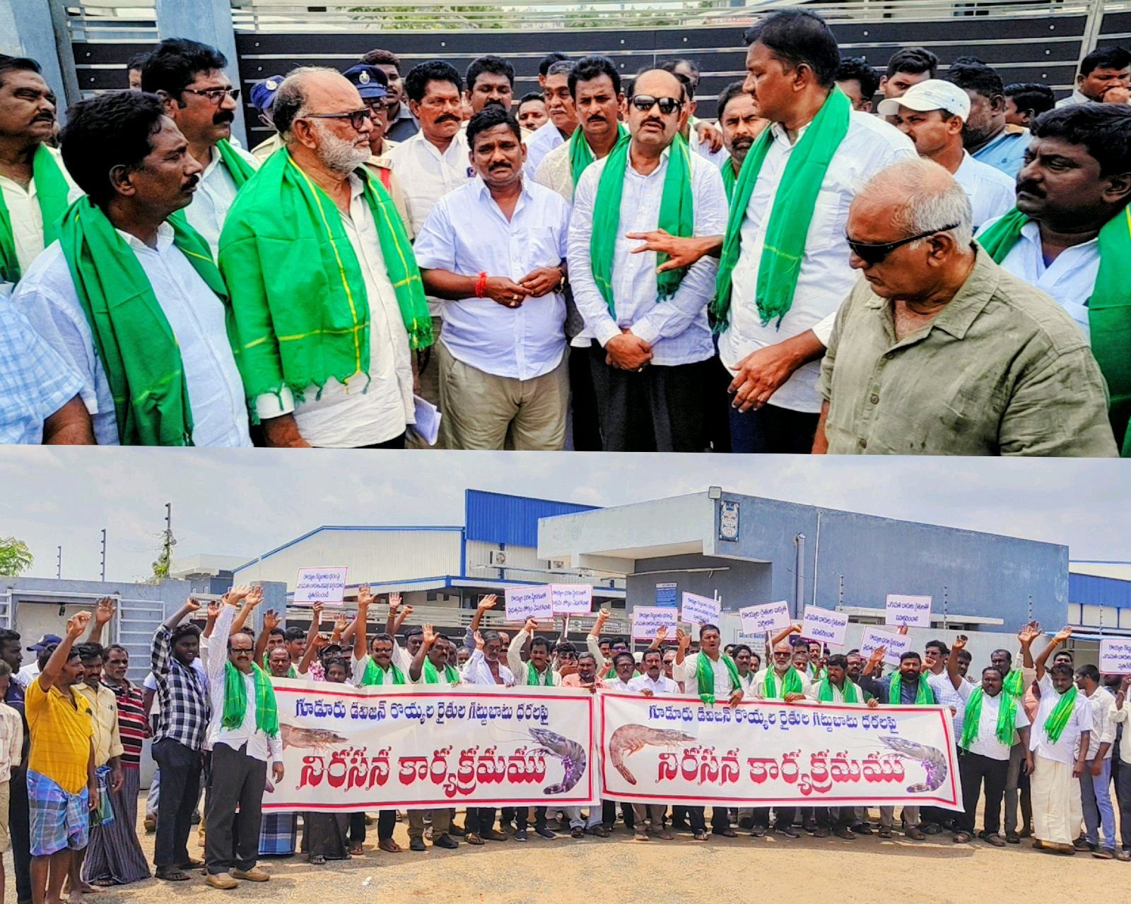 రొయ్యల ధరల పతనంపై ఆక్వా రైతుల నిరసన