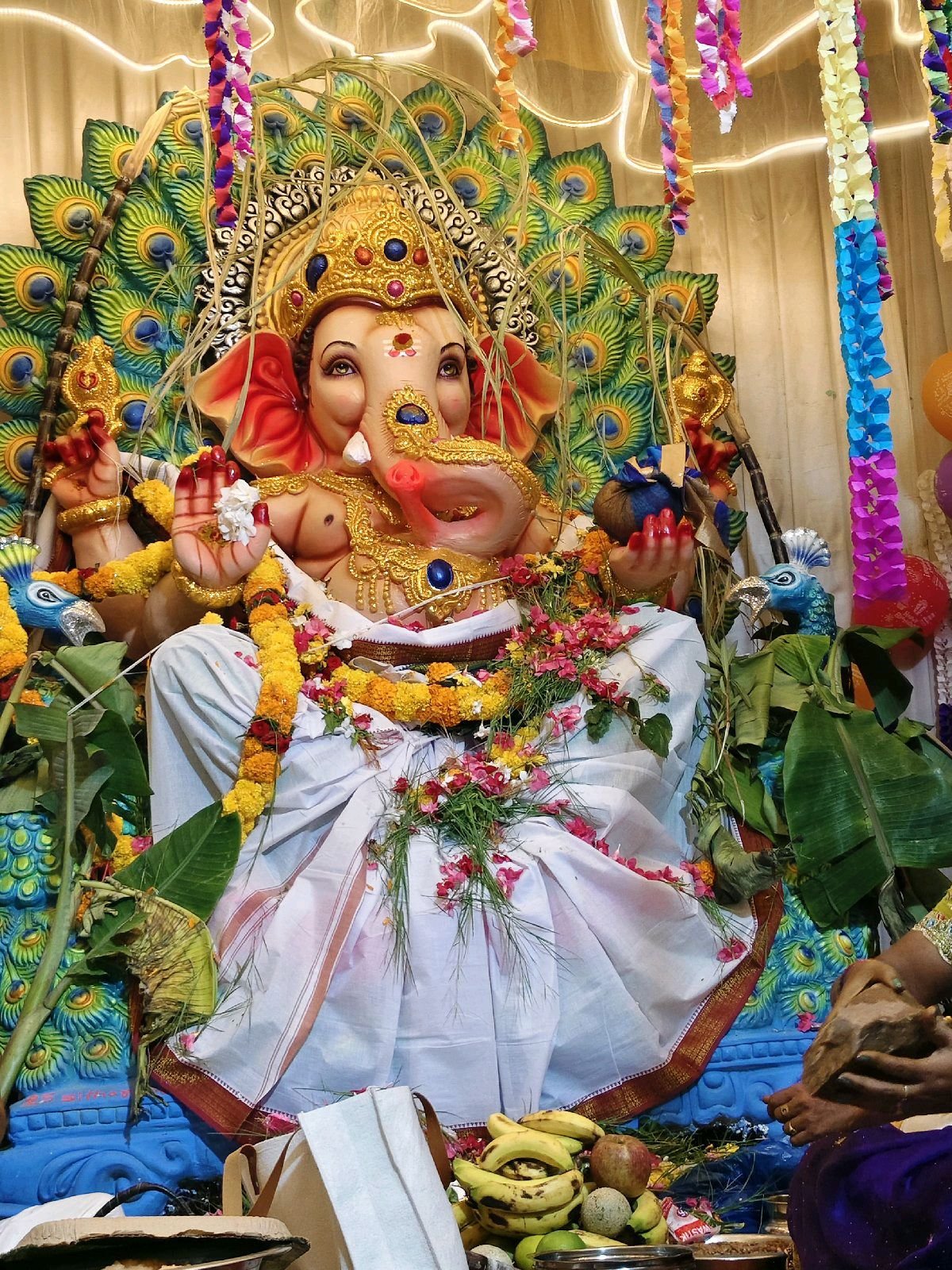 సీతారామపురం వాడ వాడ lఘనంగా పూజలు అందుకుంటున్న గణనాధుడు