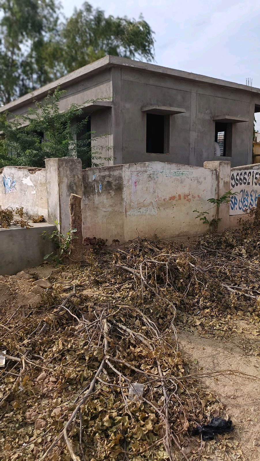 కరెంట్ పోల్స్’ పని పేరుతో కనుమరుగవుతున్న చెట్లు