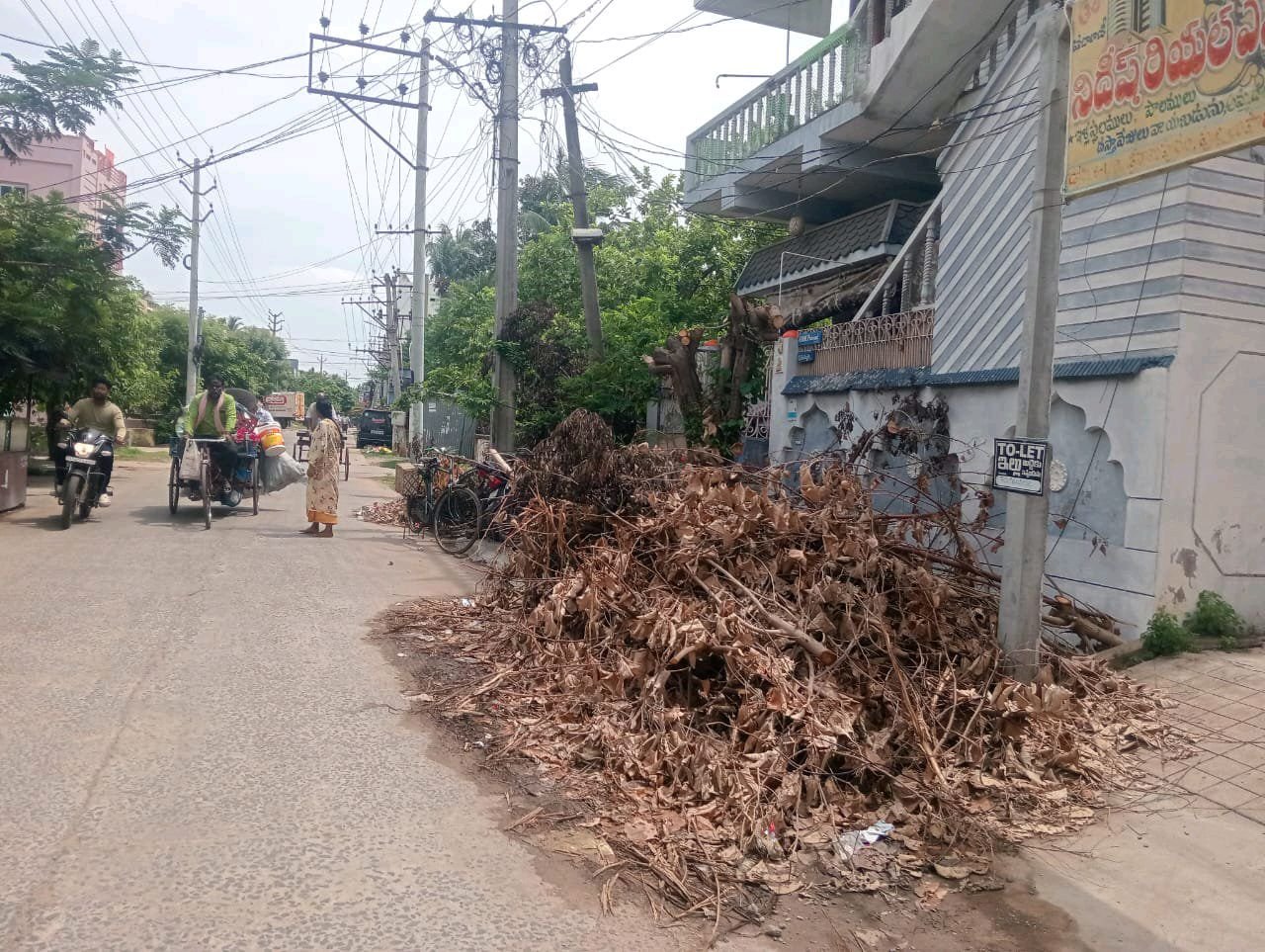 సమాచార లోపమా.. నిర్లక్ష్యమా?