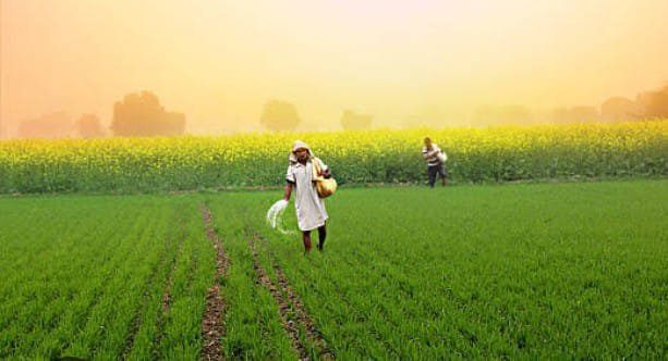 బీమా గడువు ఆగస్టు 15 వరకు...