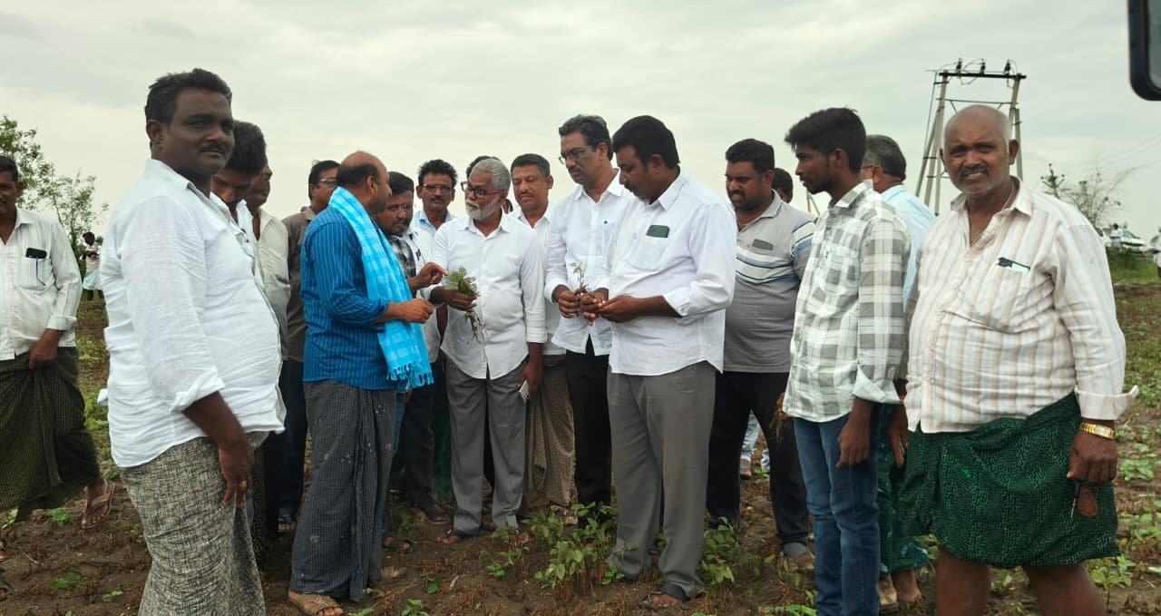 మినుము పంటకు క్రాప్ ఇన్సూరెన్స్ కల్పించాలి....