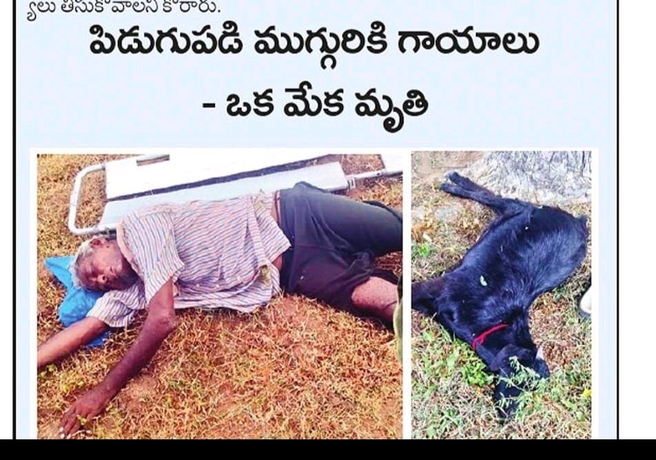 పిడుగుపాటుకు ముగ్గురికి గాయాలు.. మేక మృతి