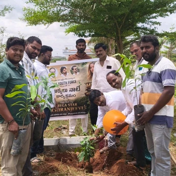 మెగా యూత్ ఫోర్స్ ఆధ్వర్యంలో మొక్కలు నాటిన చిరు అభిమానులు