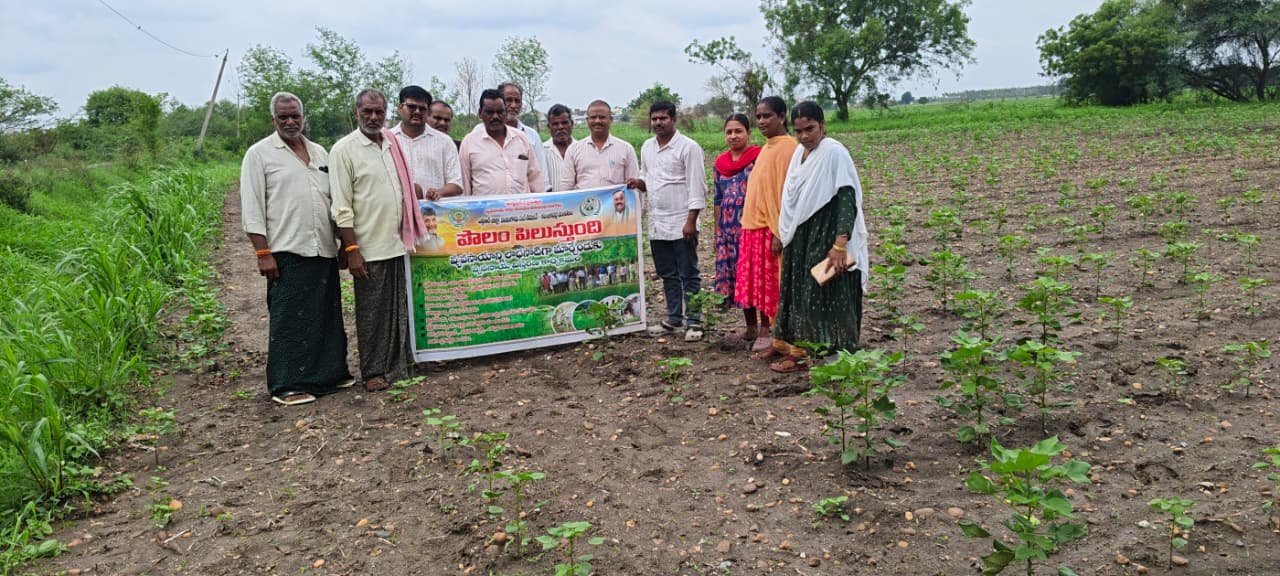 కంచికచర్ల మండలంలో పొలం పిలుస్తుంది కార్యక్రమం...