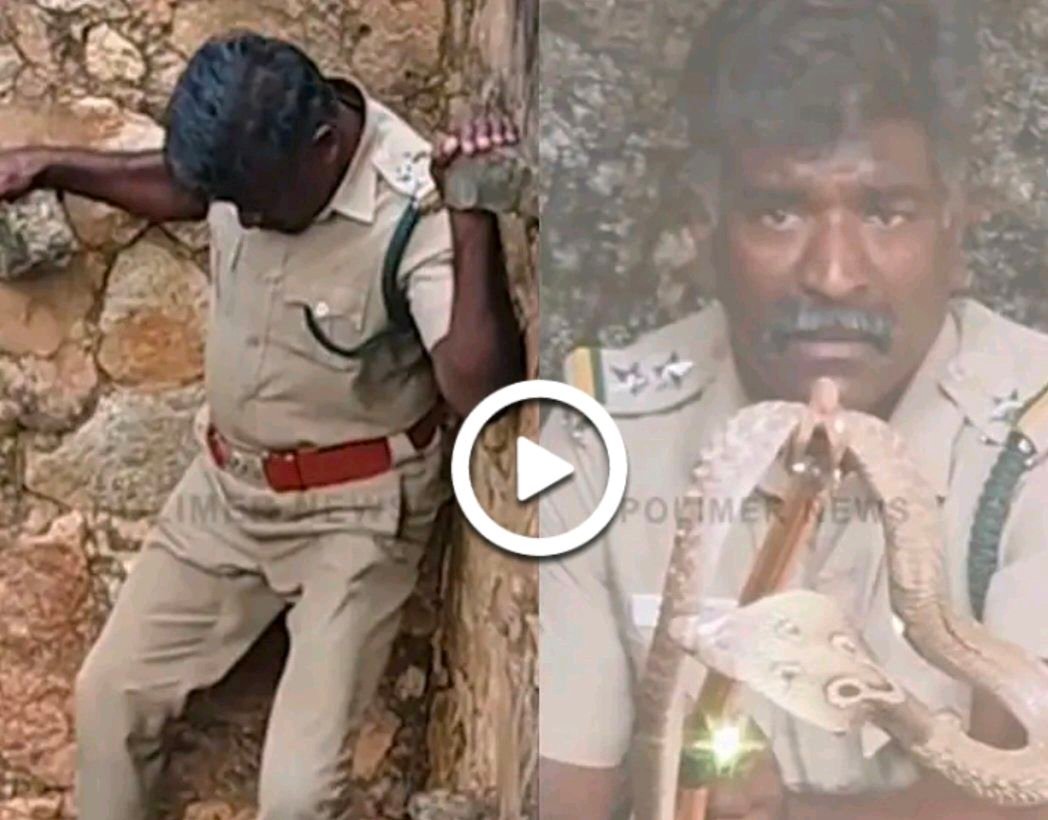 బావిలోకి దిగి నాగుపామును రక్షించిన ఆఫీసర్