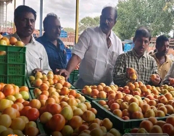 మదనపల్లెలో నిలకడగా టమాటా ధరలు